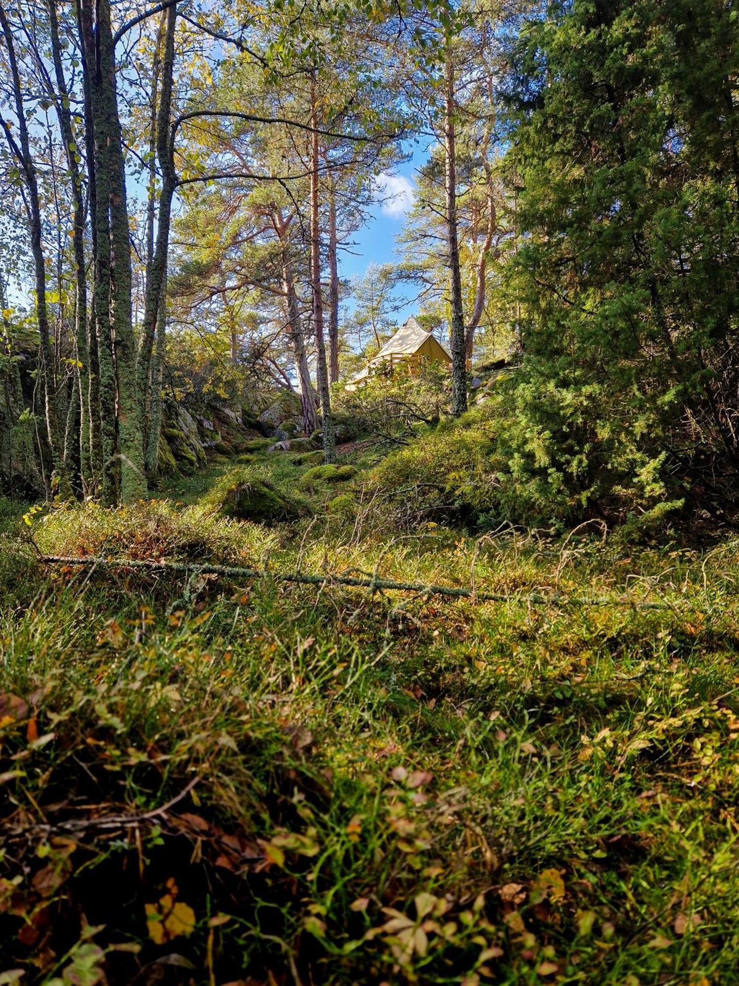 Braennskaer Cottages & Glamping Pargas Eksteriør billede